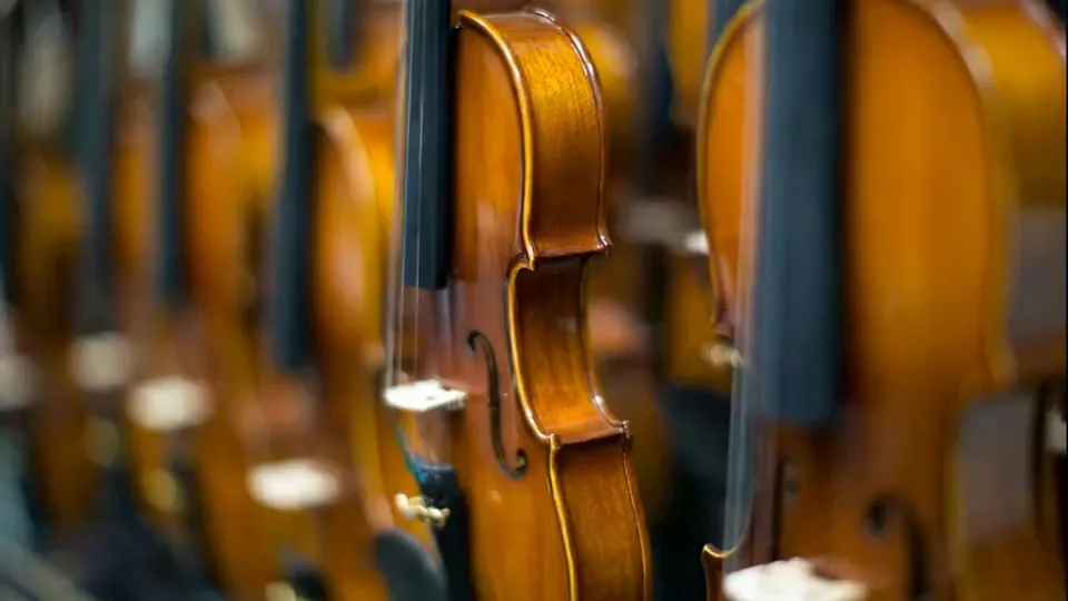 Violin and viola lessons